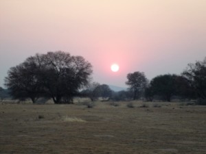 An image of the African landscape